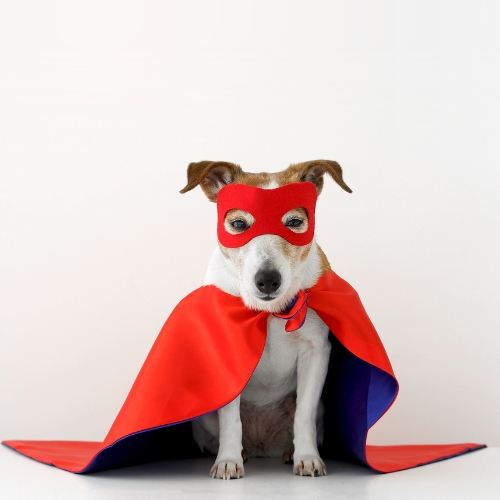 Black and White Lightning Charge Technology Logo (2)